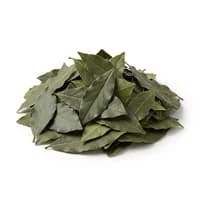 Bay Leaf