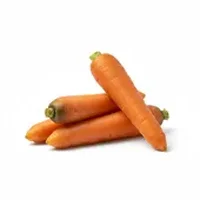 Carrot