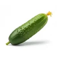 Fresh Cucumber