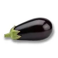 Eggplant