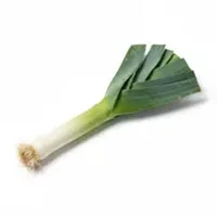 Leek
