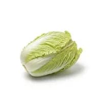 Napa Cabbage