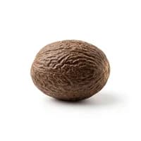 Nutmeg