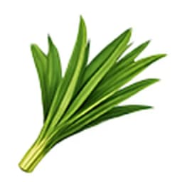 Pandan Leaves
