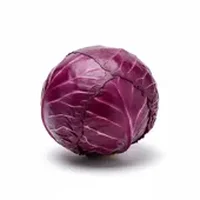 Red Cabbage