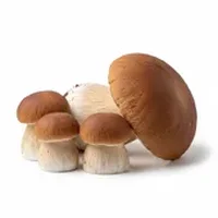 White Mushrooms (Dried)